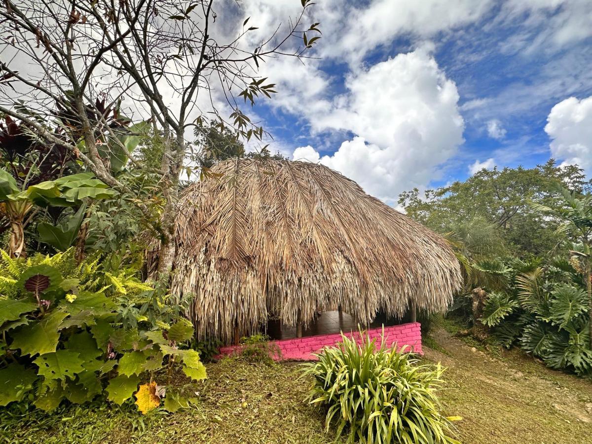 Villa Sierra Alta Finca Boutique Minca Exterior foto